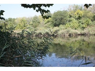 Property photo 52 - 419 +/- Acres offered in 6 Tracts, Land Auction